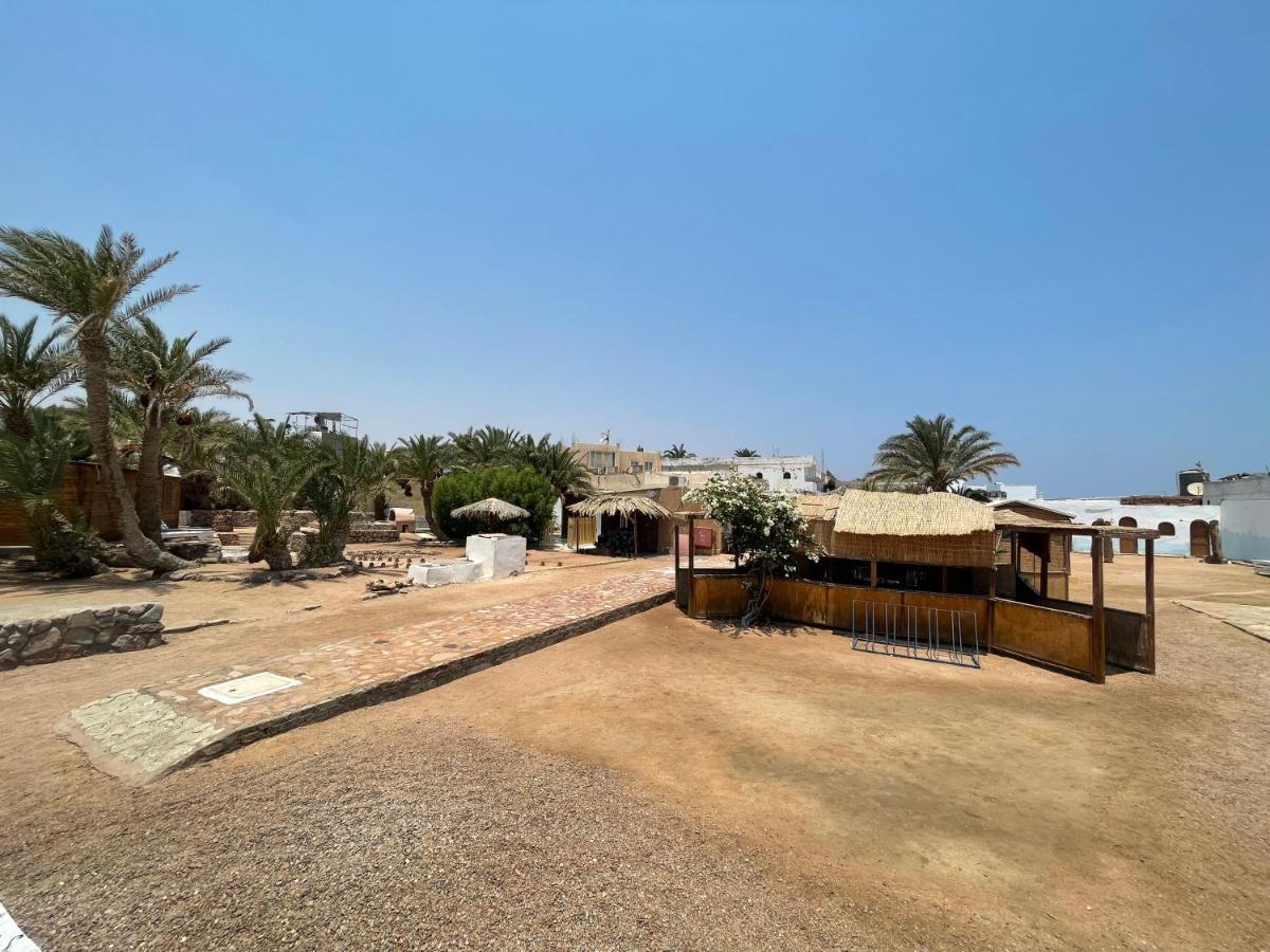 Dolphin Camp * Dahab