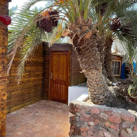 فندق Dolphin Camp دهب المظهر الخارجي الصورة