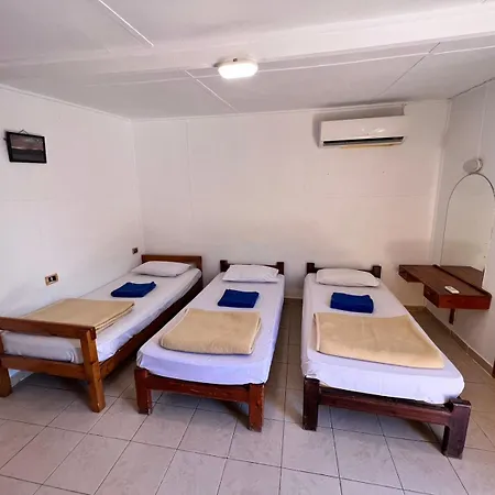 فندق Dolphin Camp دهب المظهر الخارجي الصورة