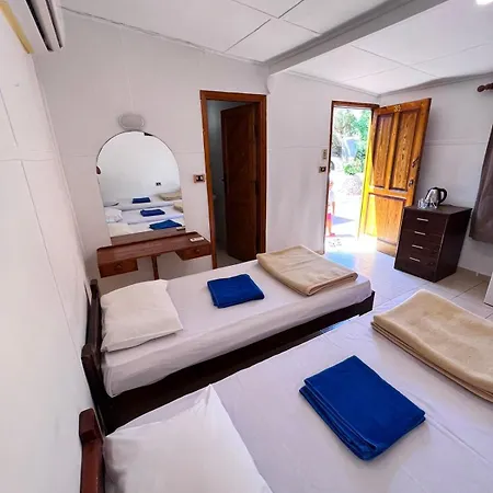 فندق Dolphin Camp دهب المظهر الخارجي الصورة