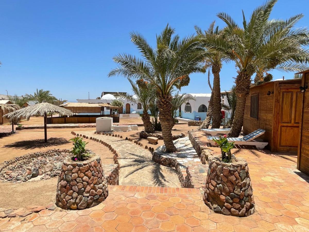 Dolphin Camp * Dahab