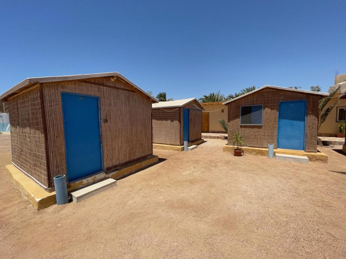 Dolphin Camp Dahab