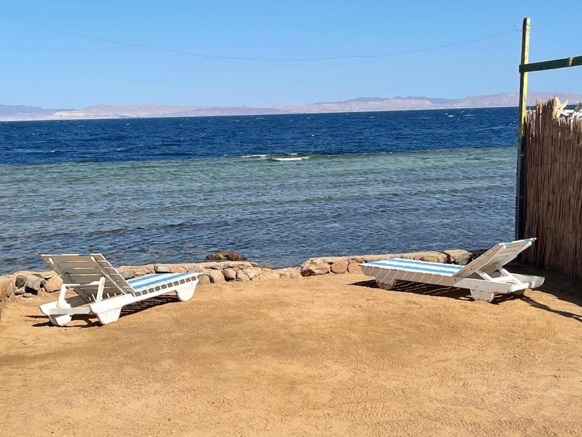 Kamp alanı Dolphin Camp