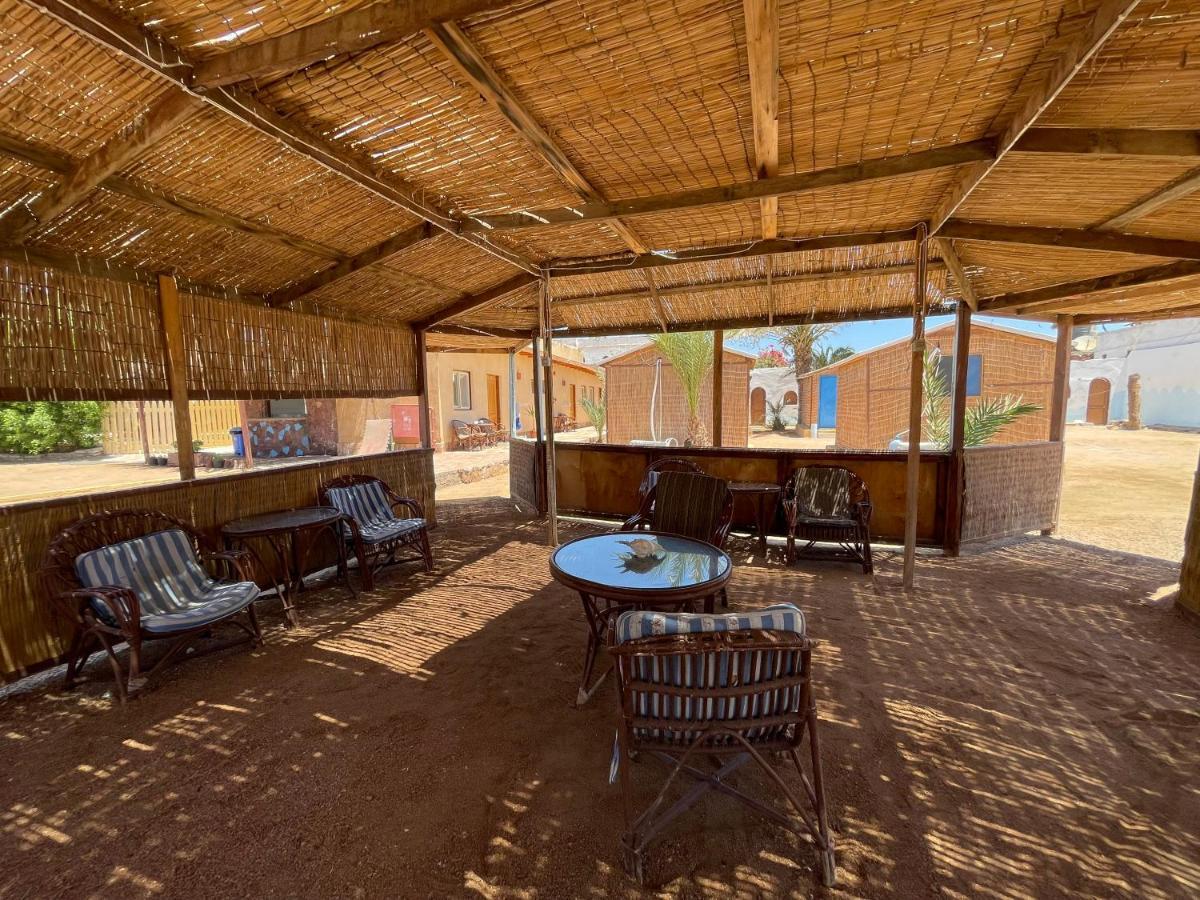 Kamp alanı Dolphin Camp Dahab