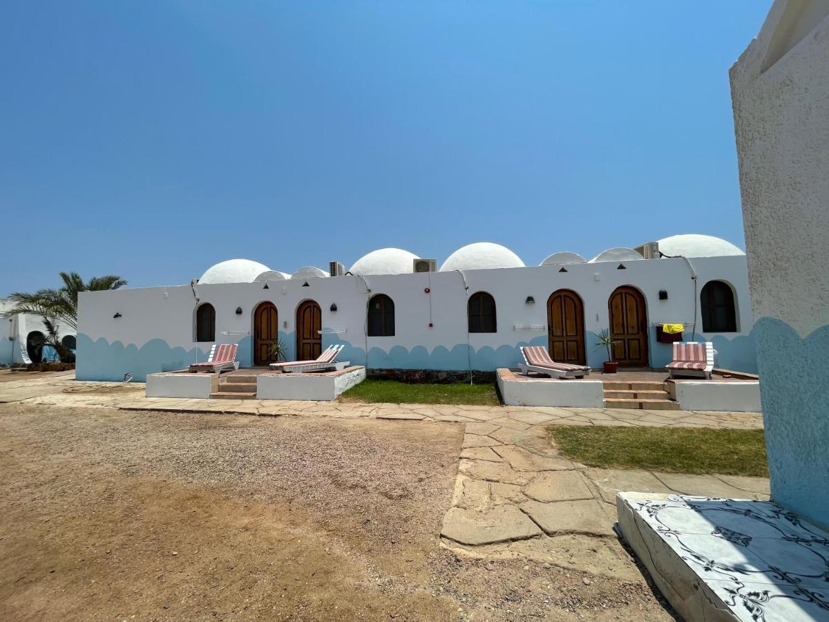 Dolphin Camp