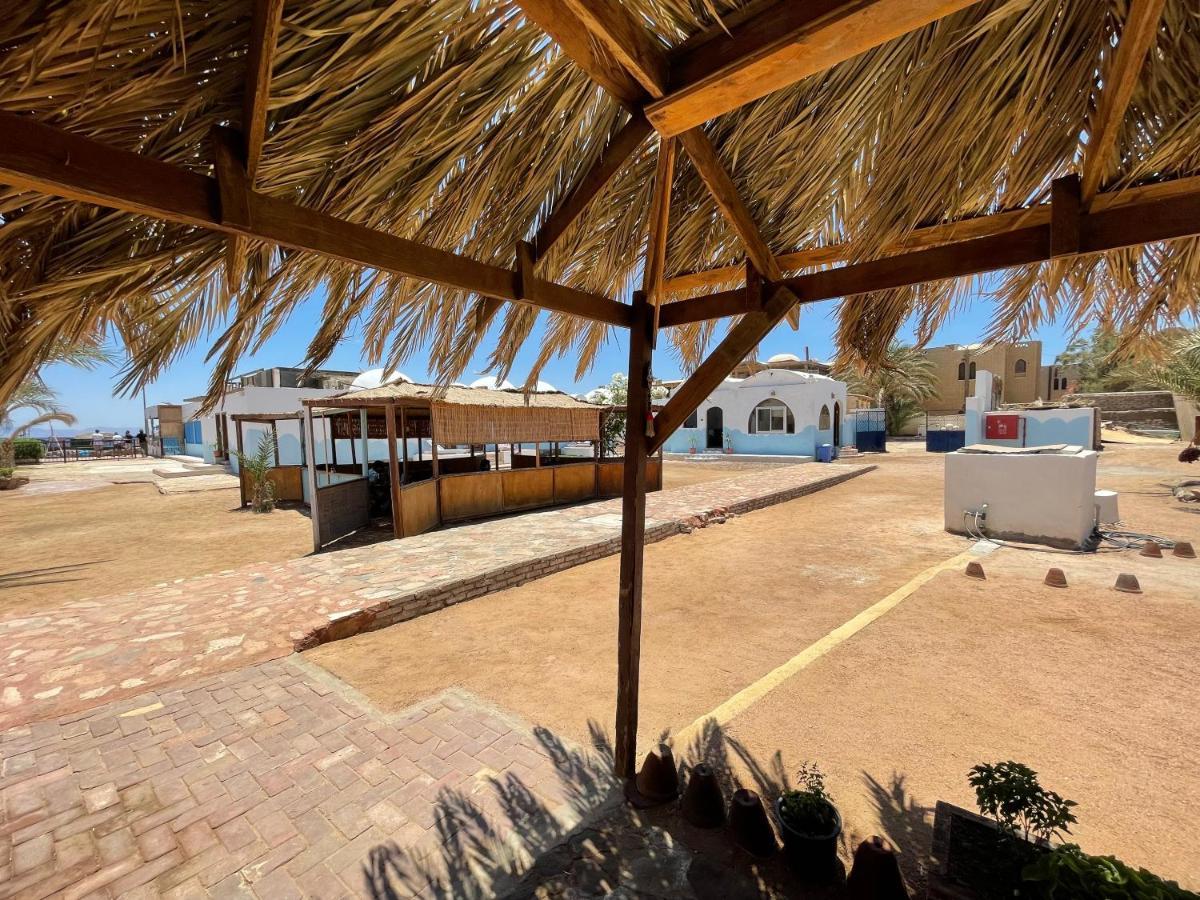 Dolphin Camp Dahab