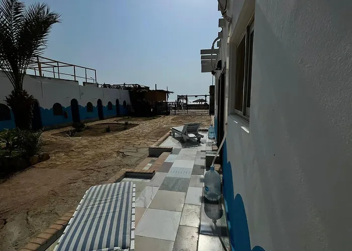 Dolphin Camp