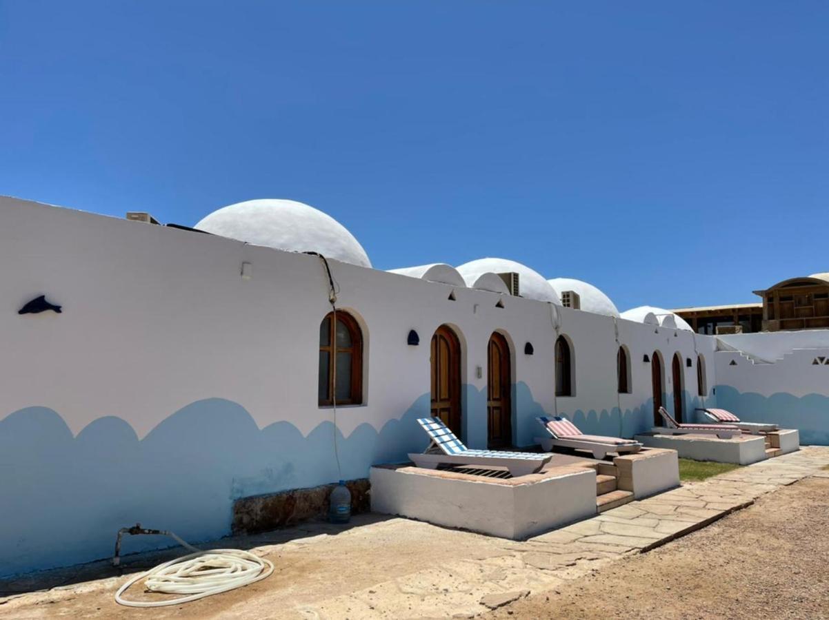 Dolphin Camp * Dahab