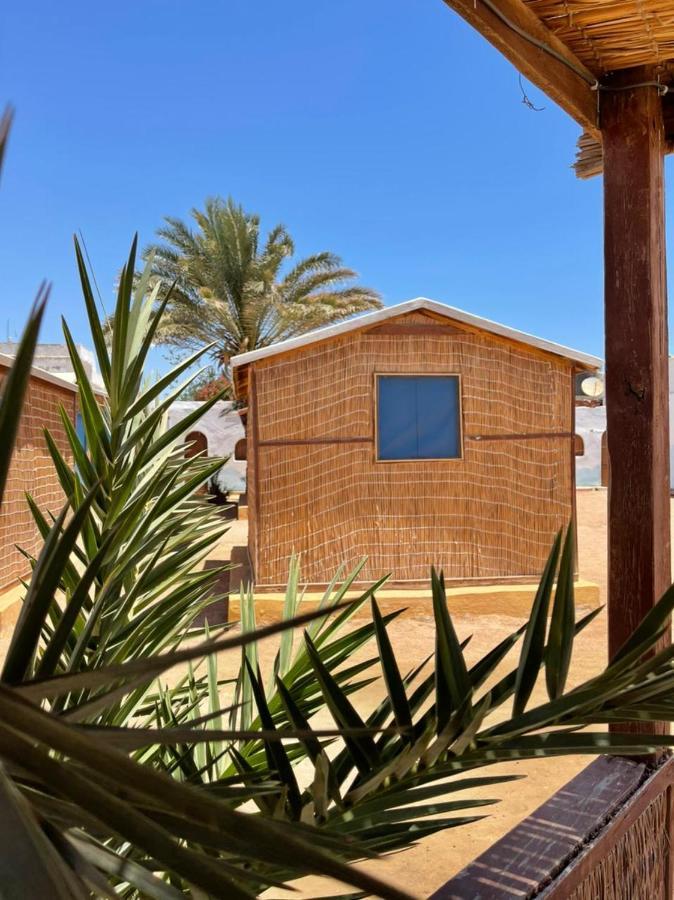 Kemping Dolphin Camp