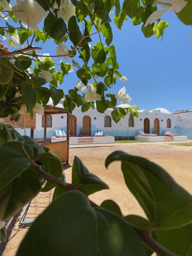Dolphin Camp Dahab