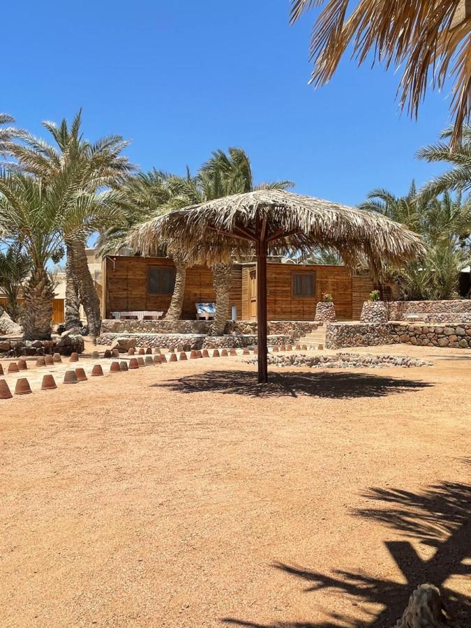 Kemping Dolphin Camp